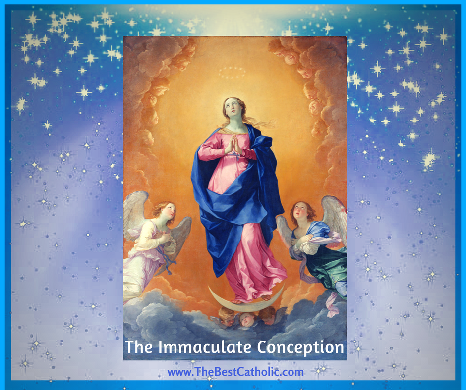 Importance of the Immaculate Conception of the Blessed Virgin Mary in ...